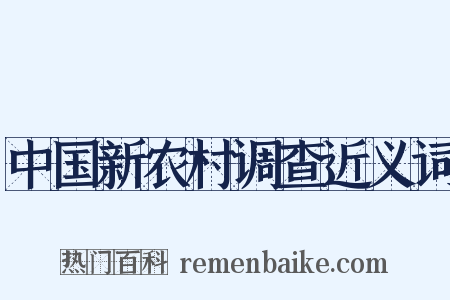 中国新农村调查近义词是什么意思的图片